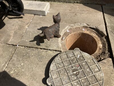 IMG_3964.jpeg