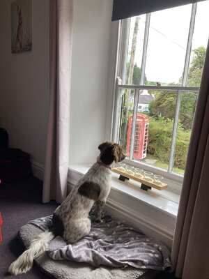 IMG_3995.jpeg IMG_3995.jpeg