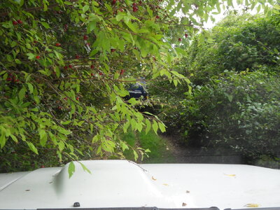 SDC11931.jpeg SDC11931.jpeg