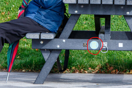 Bench (1 of 1).jpg