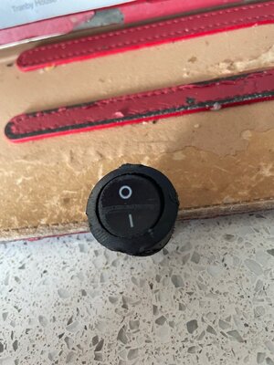 IMG_2931.jpeg IMG_2931.jpeg