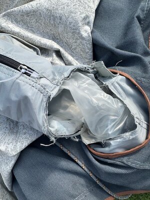 IMG_4850.jpeg IMG_4850.jpeg