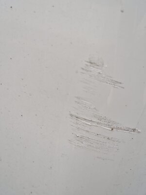 WhatsApp Image 2025-06-15 at 13.46.58_f000807c.jpg