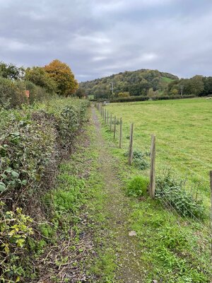 IMG_3149.jpeg