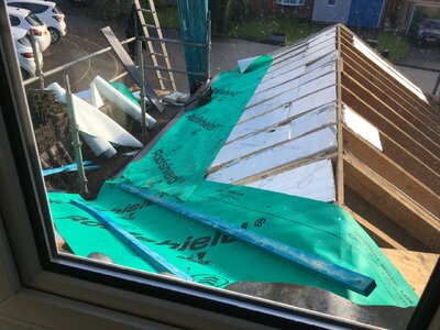 IMG_1545.jpeg IMG_1545.jpeg