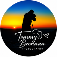 The Irish Photographer