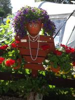 Weekenderbedford